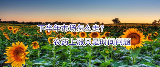 下半年市場怎么走？農藥上漲只是時間問題