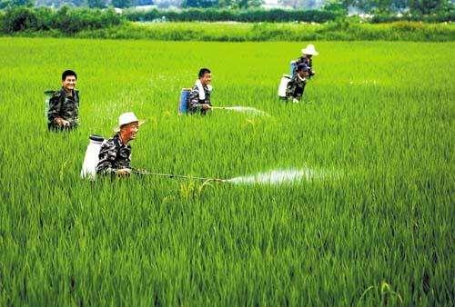 農(nóng)資市場魚龍混雜，抗性真的有宣傳的那么嚴重嗎？