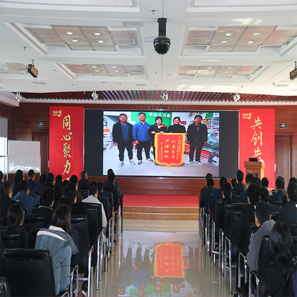 集團國內制劑經營質量分析會暨拌種總結大會圓滿召開